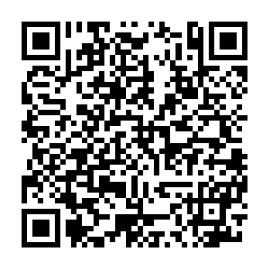 Do-prod-us-north-scanner-0610-35.do.binaryedge.ninja QR code