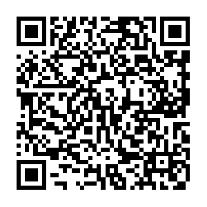 Do-prod-us-north-scanner-0610-36.do.binaryedge.ninja QR code