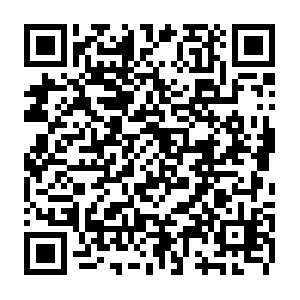 Do-prod-us-north-scanner-0610-6.do.binaryedge.ninja QR code