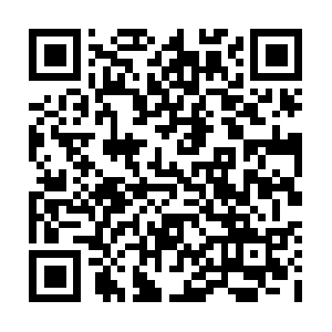 Document-security-account-verify-support.org QR code