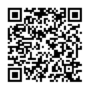 Doggiedazzlegroomingdaycareboarding.com QR code