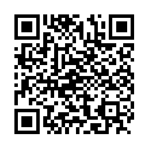 Dogtrainingbehaviorcanton.com QR code