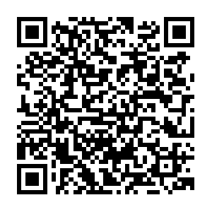 Doh.opendns.com.getcacheddhcpresultsforcurrentconfig QR code