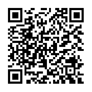 Doityourselfemploymentscreening.info QR code