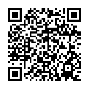 Domain-name-veronica-testingprod.info QR code