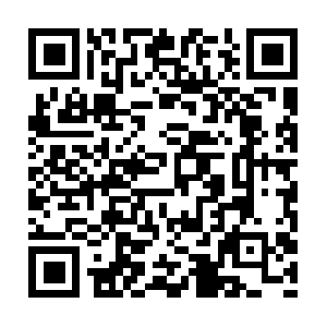 Domainnameregistrationforsmartpeople.com QR code