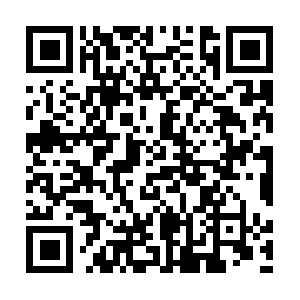 Donlincreekcampgoldminejobopenings.net QR code