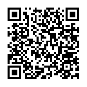 Donlincreekmineprojectemployment.net QR code