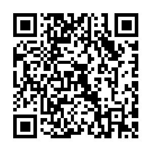 Donnasintegrativevirtualassistant.com QR code