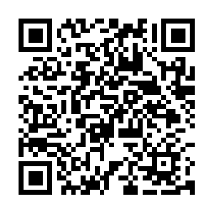 Dosenekonomi-com.cdn.ampproject.org QR code