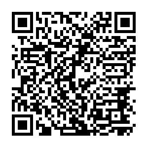 Doubleclick.net.getcacheddhcpresultsforcurrentconfig QR code