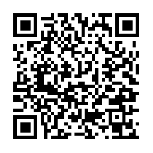 Dowlingtractorservicespanamacity.com QR code