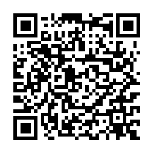 Downdawabbitthole2darkwonderland.com QR code