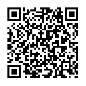 Download.zhushou.sogou.com.wscdns.com QR code