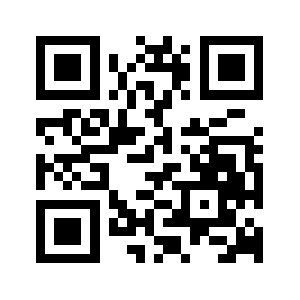 Drivecdn.store QR code