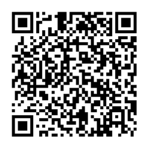 Dropthishost-0512bfe4-62c4-44da-a927-d10d093bf63d.biz QR code