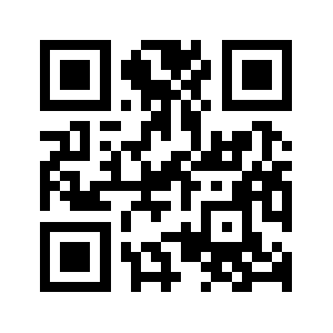 Dss-server.com QR code