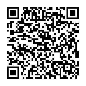 Dt.hicloud.com.getcacheddhcpresultsforcurrentconfig QR code