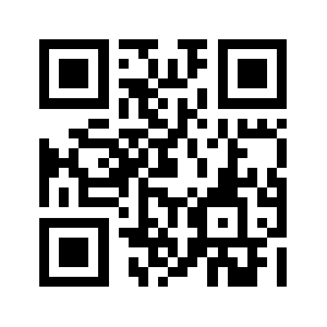 Dt541.com QR code