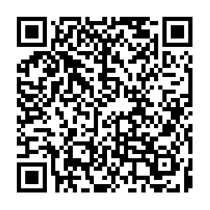 Dte-ocp4-inmgtm.us-east.containers.appdomain.cloud QR code