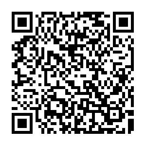 Dte-ocp4-ra2lo5.us-east.containers.appdomain.cloud QR code