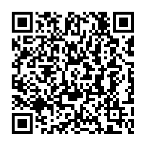 Dte-ocp4-rwugu4.us-east.containers.appdomain.cloud QR code