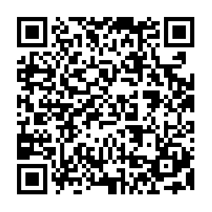 Dte-ocp4-so2s03.us-east.containers.appdomain.cloud QR code