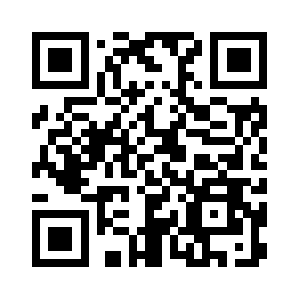 Dubliireland.com QR code