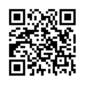 Dublimarkets.com QR code