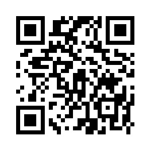 Dudeelectrical.com QR code