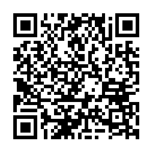 Duierundspletgnsewodtbemmolayebf.net QR code