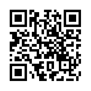 Duluthdaytrips.com QR code