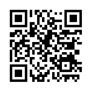 Dunkelfeldanalyse.com QR code