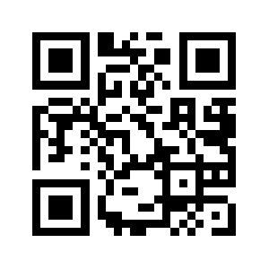 Duringview.com QR code