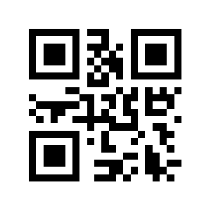 Dvt.vn QR code