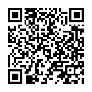 Dw-international-trading-consulting.com QR code