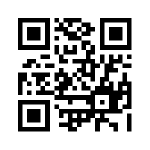 Dzes.info QR code