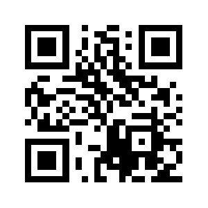 Dzwp.biz QR code