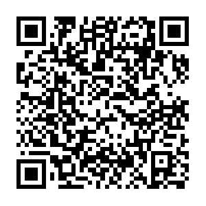 E20d9dd2-d67a-4cd5-a9d3-2027d00407db.distil.ninja QR code