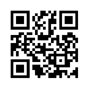 E95gxi.biz QR code