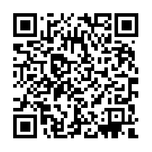 Easy-chiropractic-billing-software.com QR code