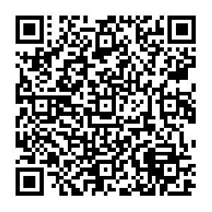 Ecs-na-vpc-puki-app-elb-1366671752.us-east-1.elb.amazonaws.com QR code