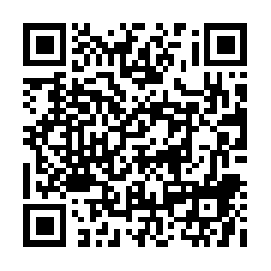 Educationservicesconsultinggroup.info QR code