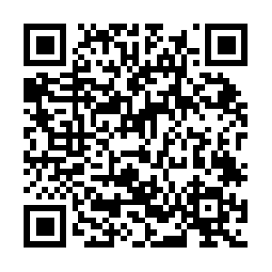 Egyptiancommercialofficeinbrazil.com QR code