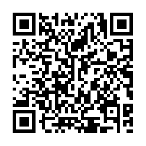 Elainesweddingandcelebrantservices.com QR code