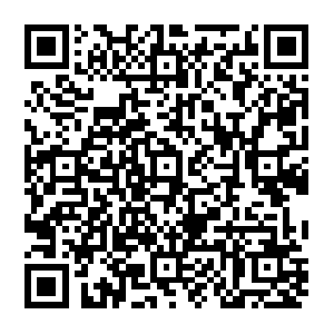 Elb-payment-server-1552856455.ap-northeast-2.elb.amazonaws.com QR code