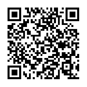 Elb-the-ozone-project-com.cdn.ampproject.org QR code