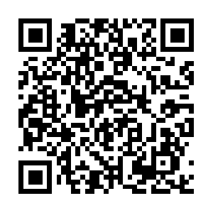 Elb097307-934924932.us-east-1.elb.amazonaws.com QR code