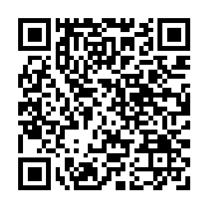 Electricalcontractorinpalmettobay.com QR code