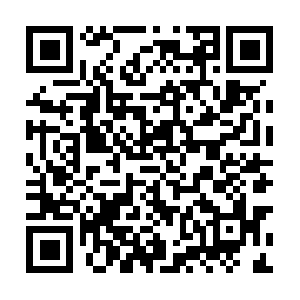 Elines.coscoshipping.com.wswebcdn.com QR code